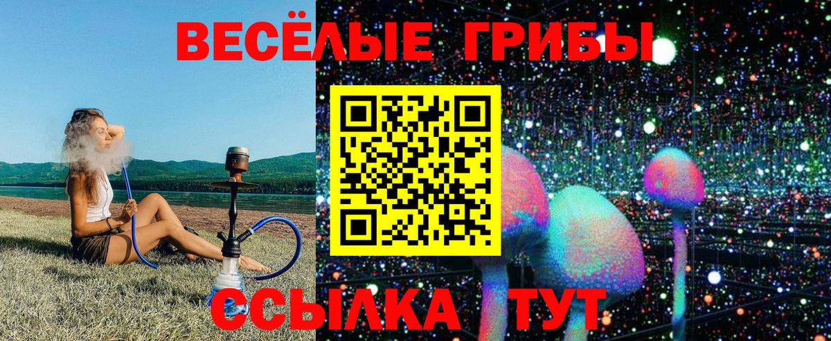 Галлюциногенные грибы Cubensis Ленинск-Кузнецкий