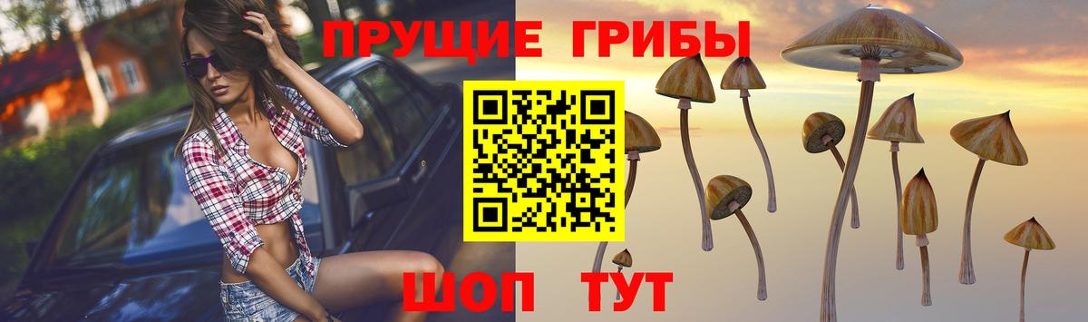 Ленинск-Кузнецкий  Псилоцибиновые грибы прущие грибы  где купить   Вход с VPN 
